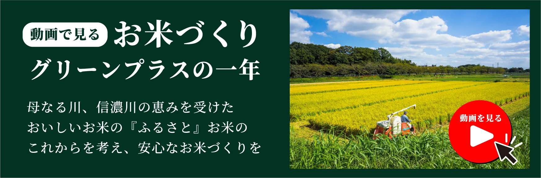 動画で見る お米づくりグリーンプラスの一年 バナー